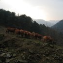 참한우정 농우가 셀프식당 이미지