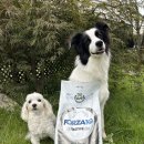 에코사료 | [포르자10] 액티브 독 에코 중대형견 처방 사료 후기