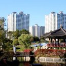 운정호수공원 Daum카페