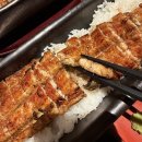 일품구이하우스 | 고속터미널 하우스오브신세계 우나기 욘다이메 키쿠카와 일품 장어덮밥 후기