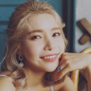 솔라씨