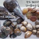 완도수산365 이미지