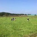 대문목장 이미지