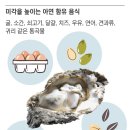 미각 이미지