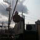 으뜸울금농장 이미지