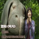 투케이코리아 | 영화 옥자 리뷰 줄거리 결말 자연을 사랑하고 아껴야한다 명대사