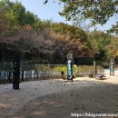 홍록배드민턴장 화장실 이미지