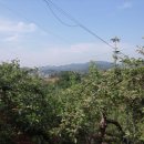 신학농장 이미지