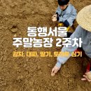 고고농장2 네이버블로그