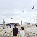 라루체365 이미지