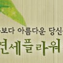 플라워치과의원 이미지