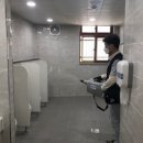 늘푸른초등학교 | 성남 늘푸른 초등학교 코로나 방역 후기