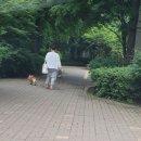 필립동물병원 이미지