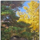 수밭골웰빙음식거리 | 달서구 월광수변공원 산책 수밭골웰빙음식거리 코스 좋지