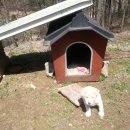 더덕농장 이미지