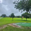 강창학체육공원 강창학파크골프장 | “서귀포 강정동 강창학파크골프장 예약·운영시간·공략포인트 한 번에 보기”