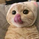 심쿵떡볶이 가경점 | 산남동 맛집/산남동 엽떡/엽떡 포장/치즈 추가/엽떡 할인/엽기떡볶이/엽떡 앱