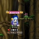 비올라펫