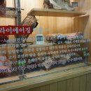 육풍당 이미지