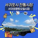 서귀포오일시장-3 | 추석맞이 서귀포향토오일시장 방문 후기