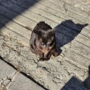 안경나라대화점 | 260208 창작자의 방 한성일 (with 김도연) 단독 공연 관람 후기