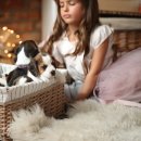 강아지분양 더펫 이미지