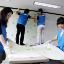 도배 이미지