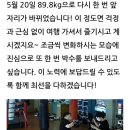 TEAM H BOXING 이미지