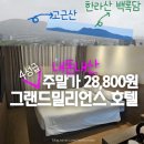 서귀포 그랜드밀리언스 호텔 금토 주말 이틀 가격 57,600원 내돈내산(한라산 보임)