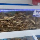 대원대게센터 이미지