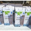 단월면사무소 | 아이란 다녀온 봄날의 기록, 양평 단월 고로쇠 축제 솔직 감성 후기