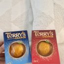 테리스 | 영국 국민 초콜릿 테리스 오렌지 Terry’s Orange 먹어본 솔직 후기