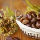 조형준한방소아과한의원 이미지