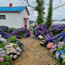 서귀포약국 이미지