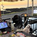 노도고등어회 | 제주공항근처 맛집 노도 고등어회 순살갈치조림 후기 반려견 동반