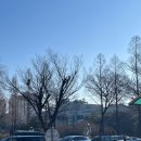 서래안경 | 강서운전면허시험장에 운전면허 2종보통이 적성검사가서 7년 무사고 운전으로 1종보통으로 변경하고온 후기