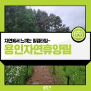신림 다목적구장 | [용인 여행] 용인자연휴양림 야영장에서 힐링해요.