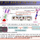 해피메이커 이미지