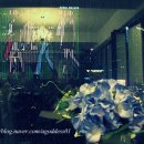 트레인스마트 이미지