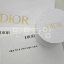 다올로지스 | 디올 공식 홈페이지에서 몽테인 미차 스카프 주문 후 수령 후기