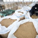 신곡축산 이미지