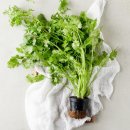 신영목장2 이미지