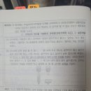 RE:기출의 구조화 해설 28p 17 특주B6 1번 문제 비가역적사고 이미지