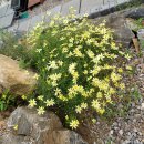 그늘막53 이미지