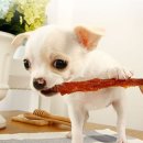 간식줄까? 이미지