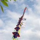 장성공설운동장 11 이미지