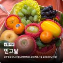 신우청과 | 과일선물세트 믿고달, 어버이날 선물로 딱인 과일박스 내돈내산 픽업 후기