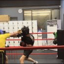 미스터 복싱 짐 율전점 이미지