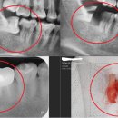 삼호치과의원 이미지