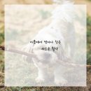 스마트한의원 이미지